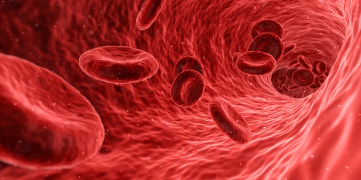 Benign Clinical Haematology